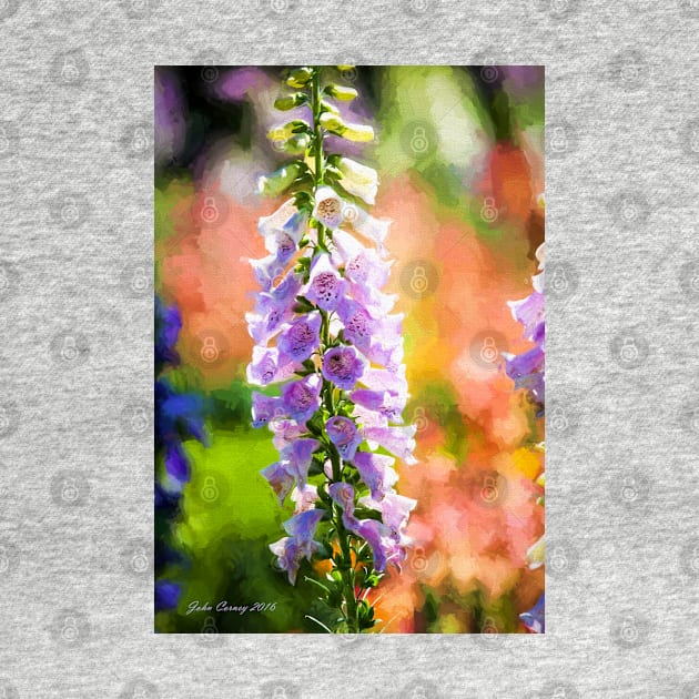 Purple Delphinium #1 by JohnCorney